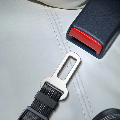 Pet Planet Ceinture de sécurité pour chien en voiture