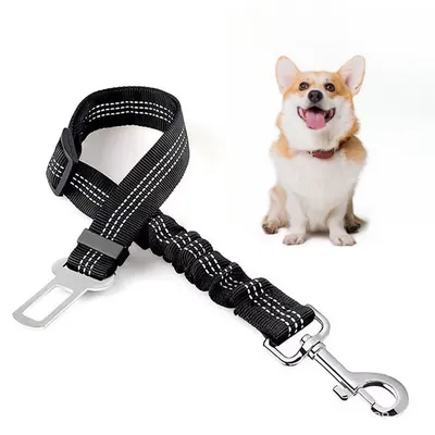 Pet Planet Ceinture de sécurité pour chien en voiture