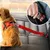 Petopia Laisse de sécurité pour animal de compagnie