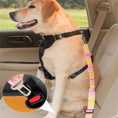 Pet Planet Ceinture de sécurité pour chien en voiture