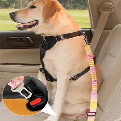 Pet Planet Ceinture de sécurité pour chien en voiture