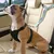 Pet Planet Ceinture de sécurité pour chien en voiture