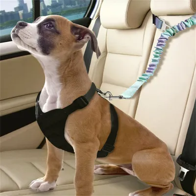 Pet Planet Ceinture de sécurité pour chien en voiture