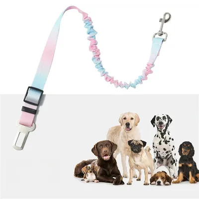 Pet Planet Ceinture de sécurité pour chien en voiture