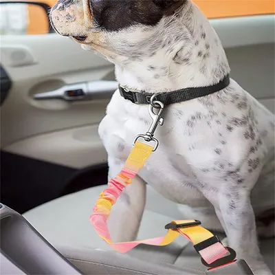Pet Planet Ceinture de sécurité pour chien en voiture