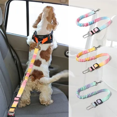 Pet Planet Ceinture de sécurité pour chien en voiture