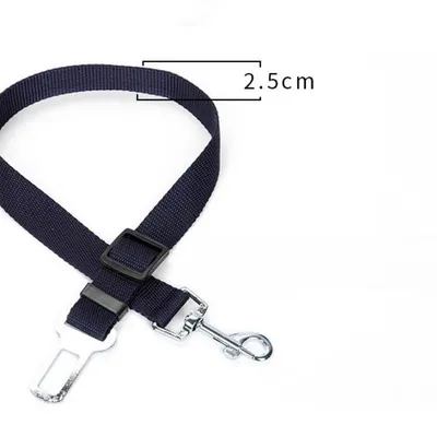 Petopia Laisse de sécurité pour animal de compagnie