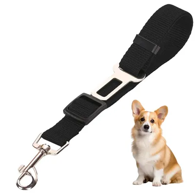 Petopia Laisse de sécurité pour animal de compagnie Petopia Laisse de sécurité pour animal de compagnie