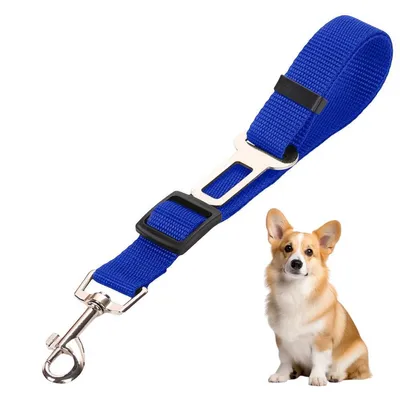 Petopia Laisse de sécurité pour animal de compagnie Petopia Laisse de sécurité pour animal de compagnie