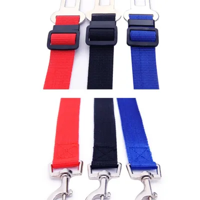 Petopia Laisse de sécurité pour animal de compagnie