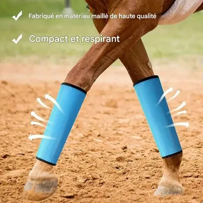 Petopia Protecteurs de jambes en maille pour cheval