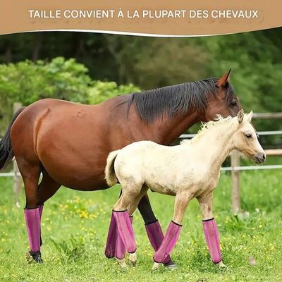 Petopia Protecteurs de jambes en maille pour cheval