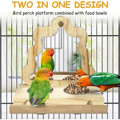 Pet Planet Oiseaux Tasses d'alimentation en bois
