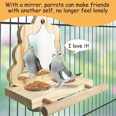 Pet Planet Oiseaux Tasses d'alimentation en bois