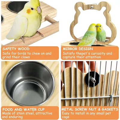 Pet Planet Oiseaux Tasses d'alimentation en bois