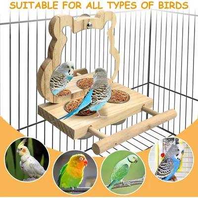 Pet Planet Oiseaux Tasses d'alimentation en bois