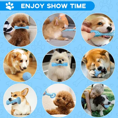 ZooVenture Nettoyage des Dents Lot de 4 Jouets pour chien