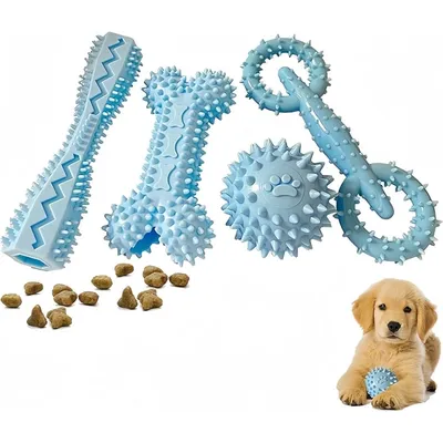 Pet Planet ZooVenture Nettoyage des Dents Lot de 4 Jouets pour chien