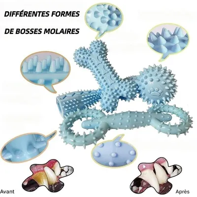 Pet Planet ZooVenture Nettoyage des Dents Lot de 4 Jouets pour chien