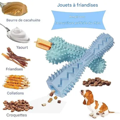 Pet Planet ZooVenture Nettoyage des Dents Lot de 4 Jouets pour chien