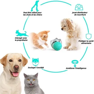 Pet Planet Jeu d'intelligence pour chien