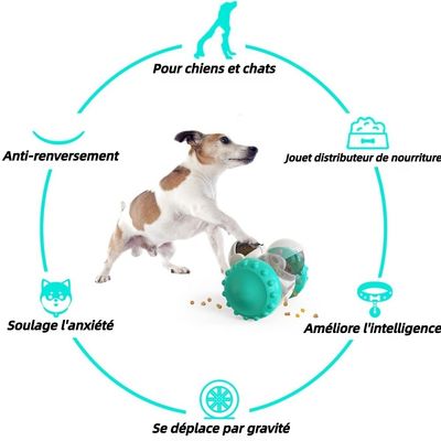 ZooVenture Entraînement IQ distributeur nourriture pour chien et chat
