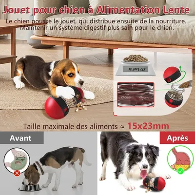 Pet Planet Chiens Jeu d'intelligence