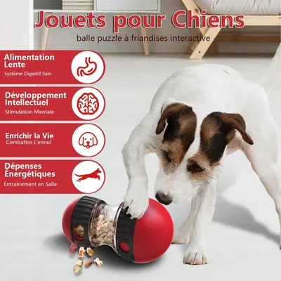 Pet Planet Chiens Jeu d'intelligence