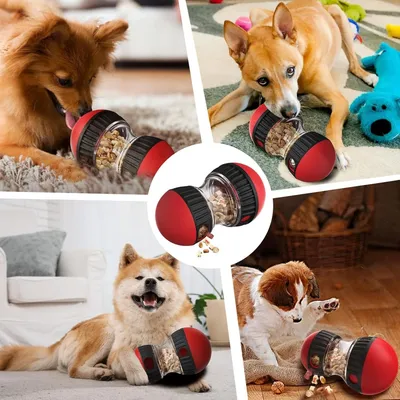 Pet Planet Chiens Jeu d'intelligence