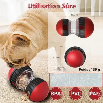 Pet Planet Chiens Jeu d'intelligence