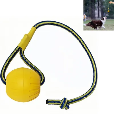 Pet Planet ZooVenture Flottante Balle avec Corde pour Chien