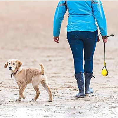 ZooVenture Flottante Balle avec Corde pour Chien