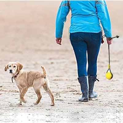 Pet Planet ZooVenture Flottante Balle avec Corde pour Chien