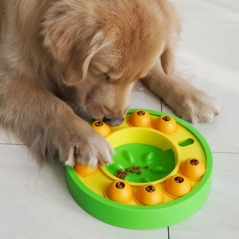 Petopia Jouet interactif pour chien d'alimentation lente