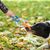 Jouet de dentition en TPR pour chiens et chats