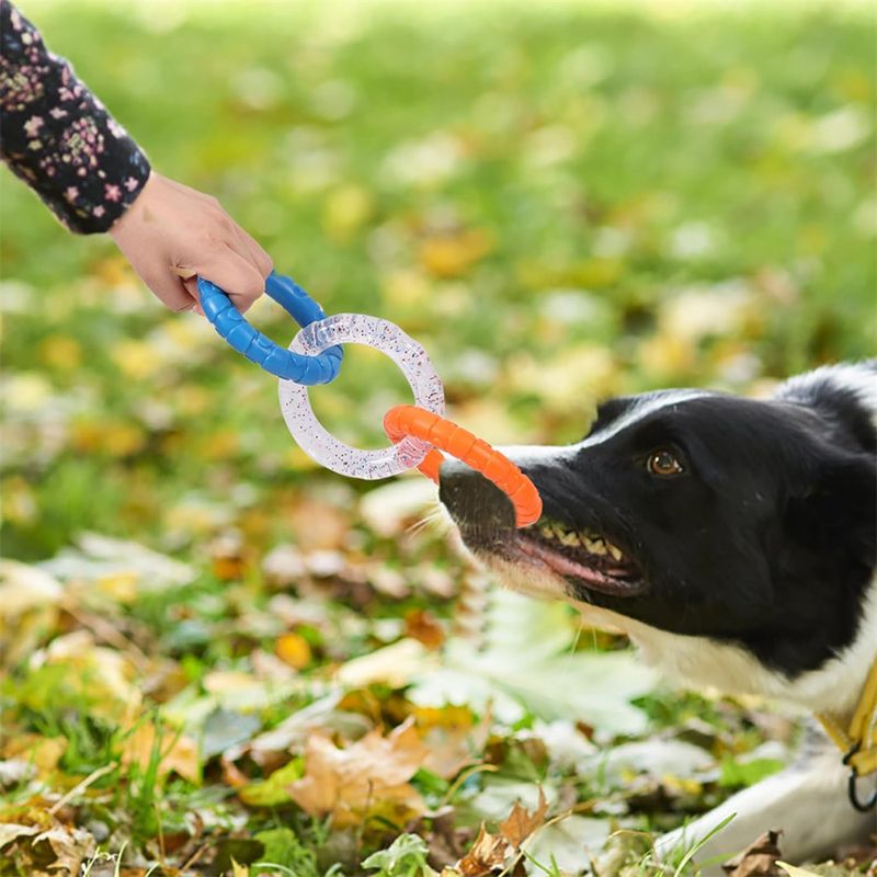 Jouet de dentition en TPR pour chiens et chats