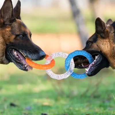 IntiMeg Jouet de dentition en TPR pour chiens et chats