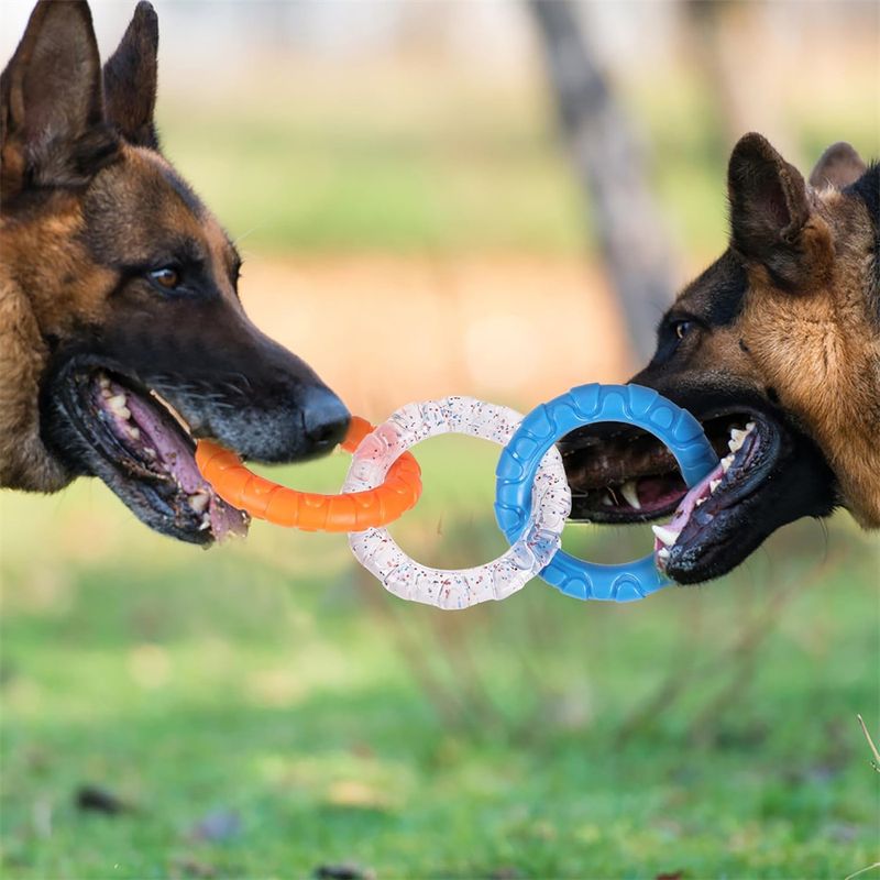 Jouet de dentition en TPR pour chiens et chats