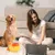Distributeur interactif de friandises pour chiens - Canard Distributeur interactif de friandises pour chiens - Canard