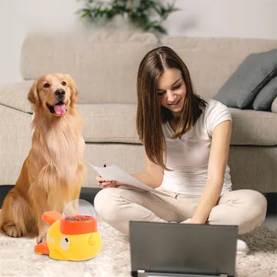 Distributeur interactif de friandises pour chiens - Canard Distributeur interactif de friandises pour chiens - Canard