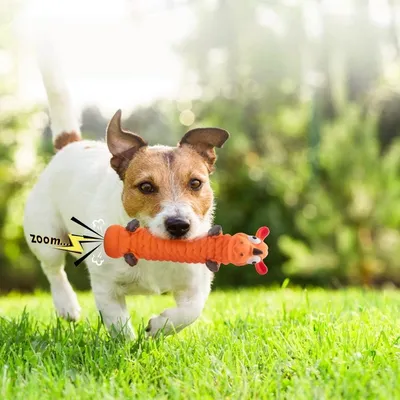 Petopia Jouet interactif en latex pour chien