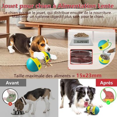 Pet Planet Chiens Jeu d'intelligence