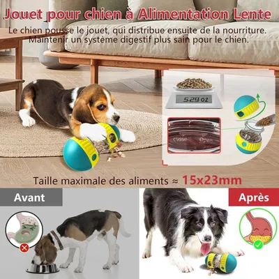 Pet Planet Chiens Jeu d'intelligence