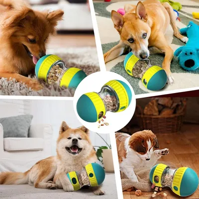Pet Planet Chiens Jeu d'intelligence