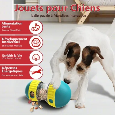 Pet Planet Chiens Jeu d'intelligence