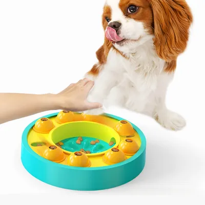 Petopia Jouet interactif pour chien d'alimentation lente