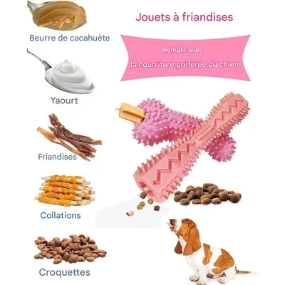 Pet Planet ZooVenture Nettoyage des Dents Lot de 4 Jouets pour chien