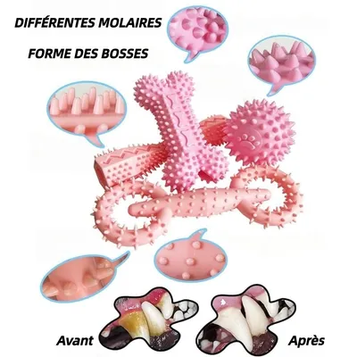 Pet Planet ZooVenture Nettoyage des Dents Lot de 4 Jouets pour chien