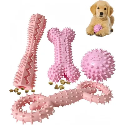 Pet Planet ZooVenture Nettoyage des Dents Lot de 4 Jouets pour chien