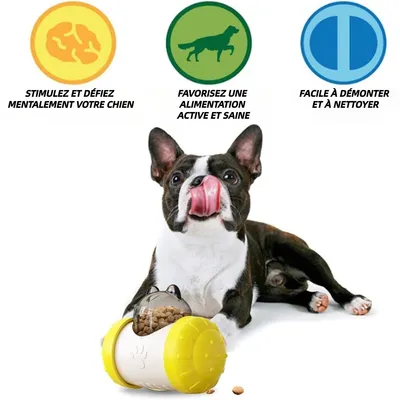 Pet Planet Jeu d'intelligence pour chien